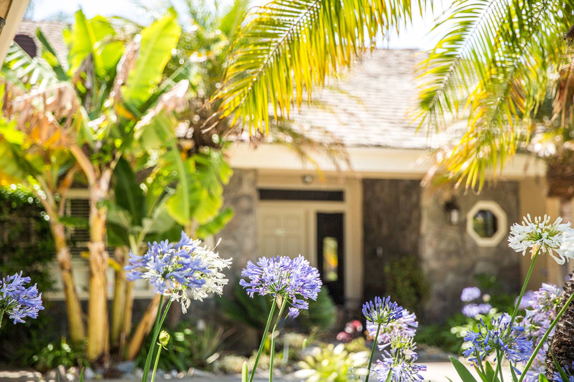 San Juan Capistrano Drug Rehab